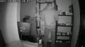 Czujka Ruchu z kamerą Wi-Fi detekcja ruchu PIR LS11 IR (Do Roku na baterii) enexus.pl