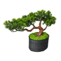 Ukryta Kamera Drzewko Bonsai 4G Na SIM IR FHD (Podgląd Na żywo)