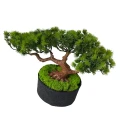 Ukryta Kamera Drzewko Bonsai 4G Na SIM IR FHD (Podgląd Na żywo)