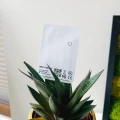 PB708 PRO FOTO 4.jpg